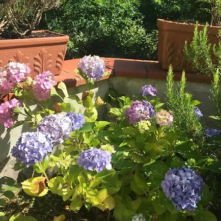 Casa Delle Rose